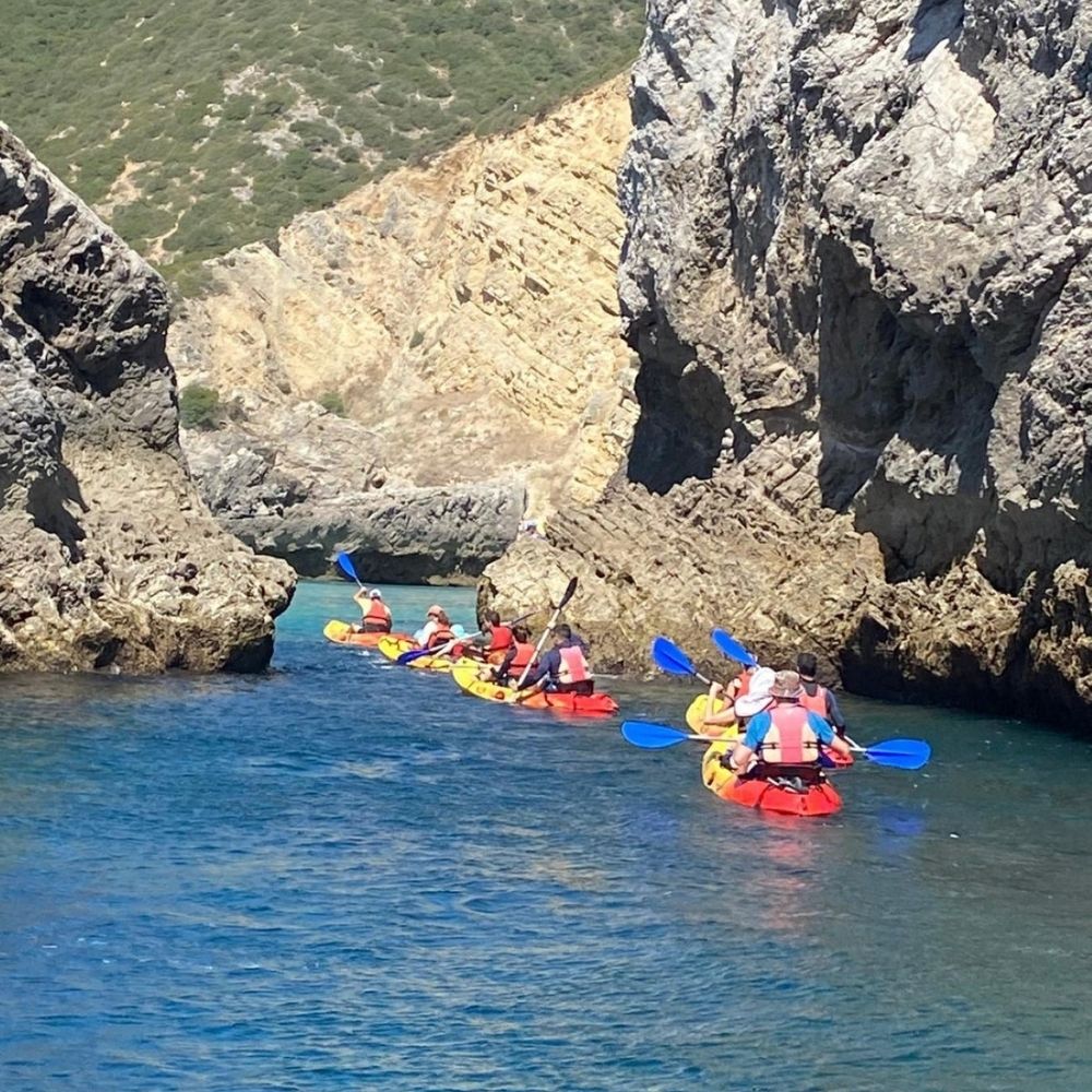 Wild Beach Kayak Tours