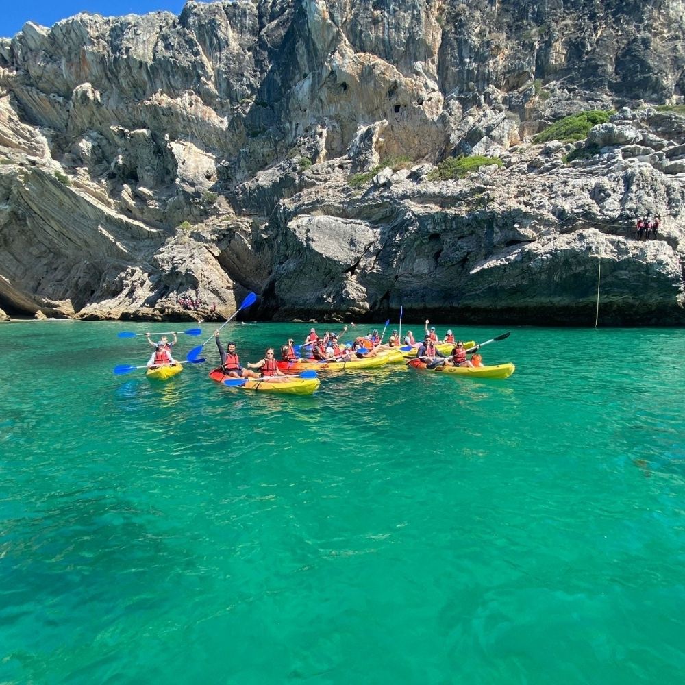 Wild Beach Kayak Tours