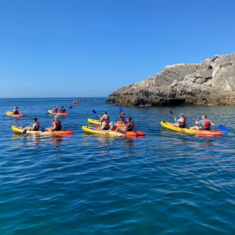Wild Beach Kayak Tours