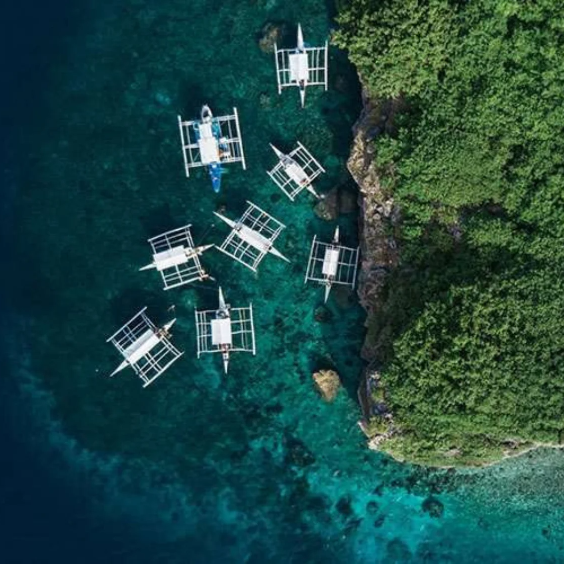 Moalboal Scuba Diving Sardine Run