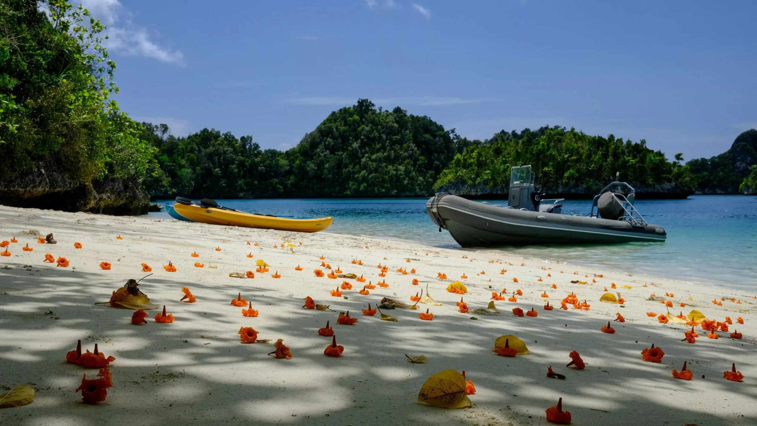 Komodo and Taka Bonerate National Park Scuba Diving Liveaboard