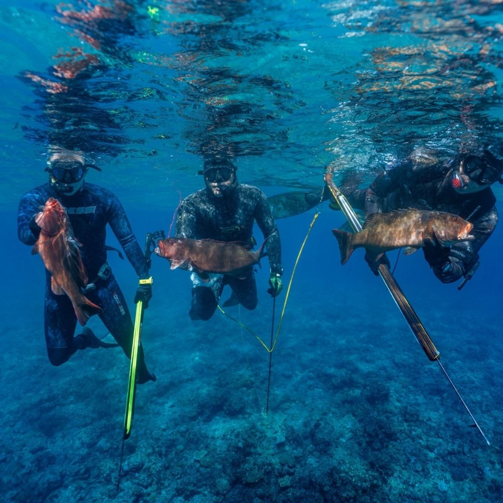 Beginner Spearfishing Retreat