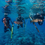 Beginner Spearfishing Retreat
