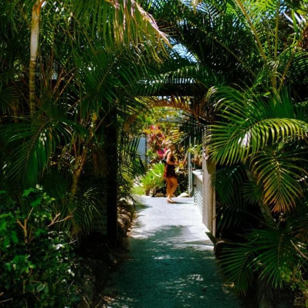 Beginner Spearfishing Retreat