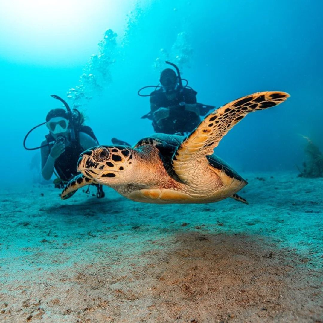 Boracay Discover Scuba Diving Program