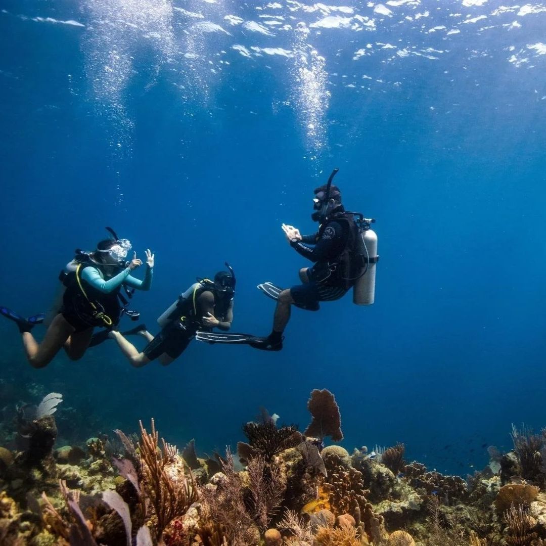 Boracay Island Scuba Diving Fun Dive