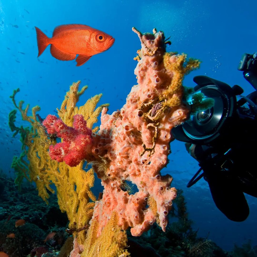 Boracay Discover Scuba Diving Program