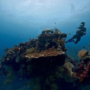 USAT Liberty Shipwreck Beginner Dive
