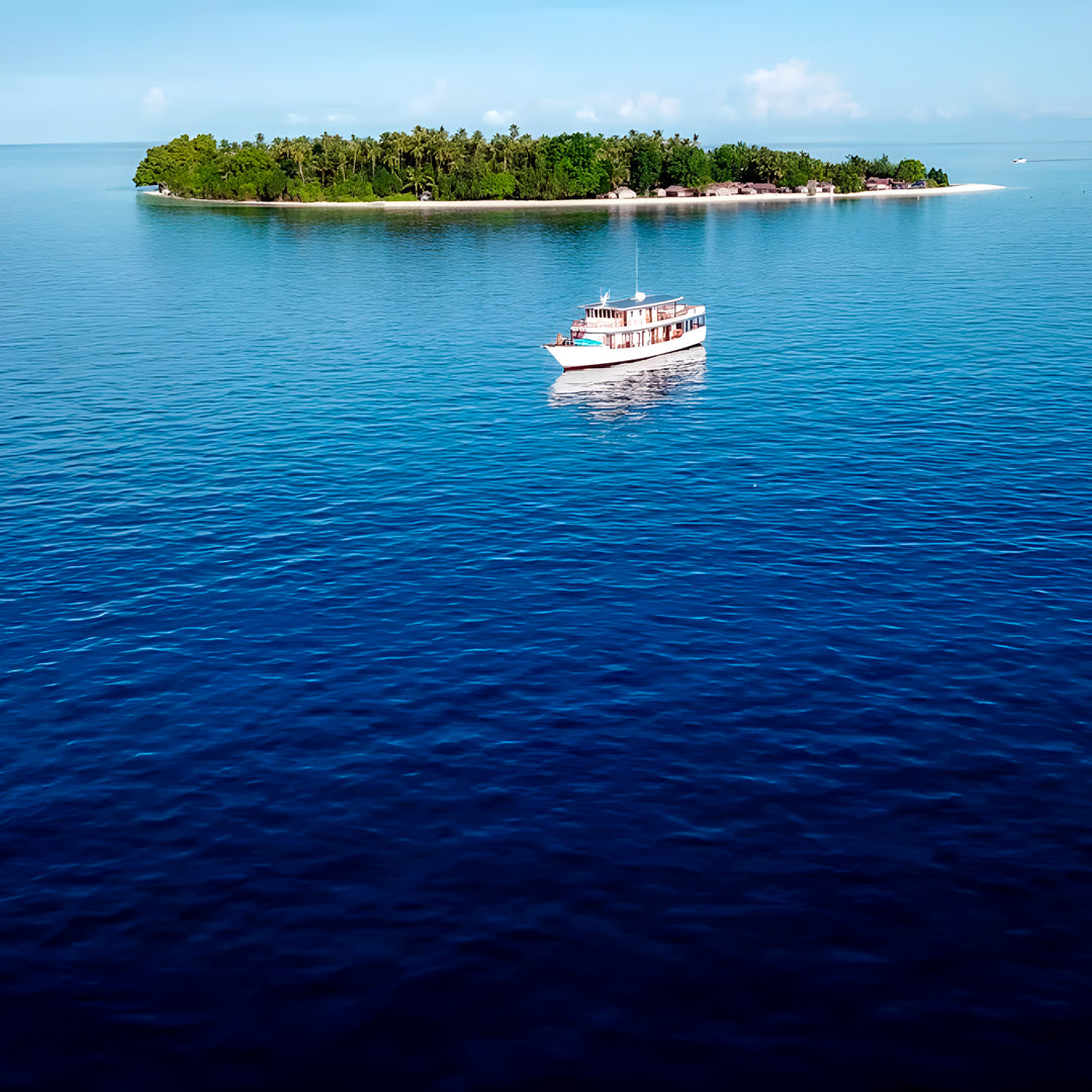 Komodo Leisure Liveaboard Nomad Archipelago