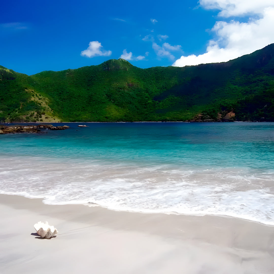 Komodo Leisure Liveaboard Nomad Archipelago