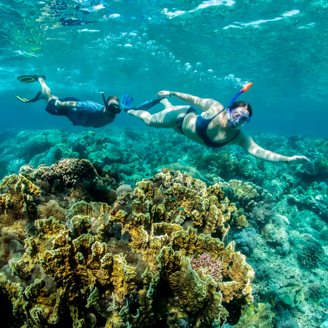 Komodo Leisure Liveaboard