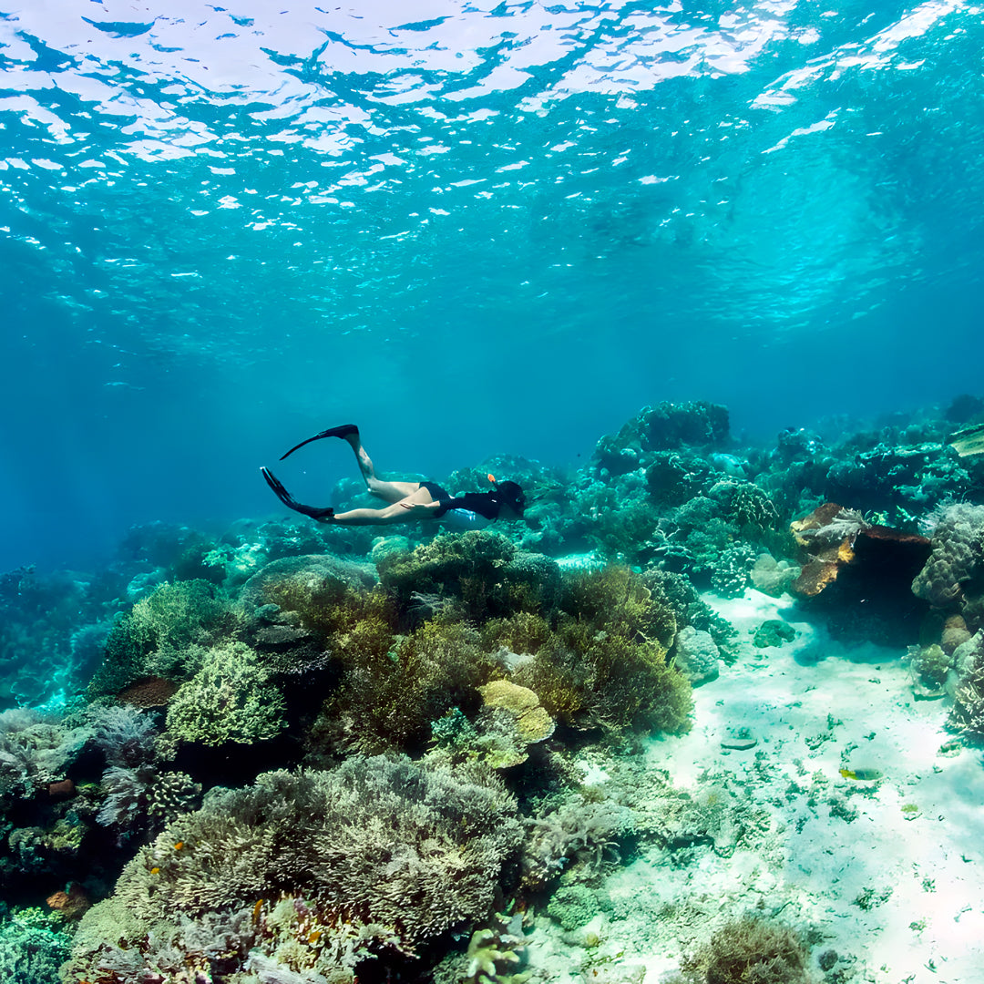 Komodo Leisure Liveaboard Nomad Archipelago