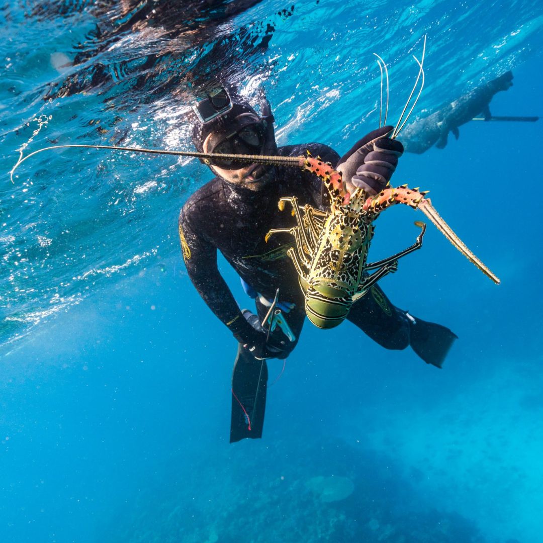 Beginner Spearfishing Retreat