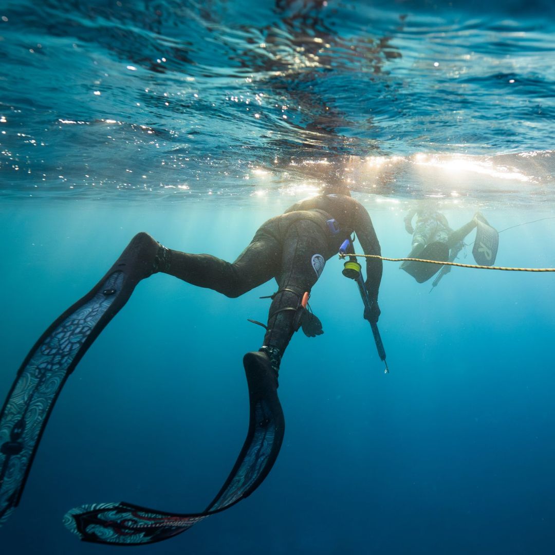 Beginner Spearfishing Retreat
