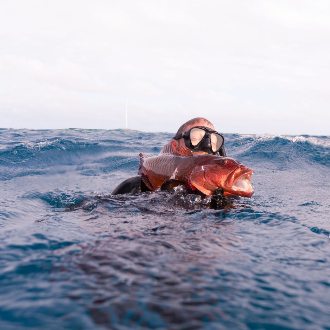 Beginner Spearfishing Retreat