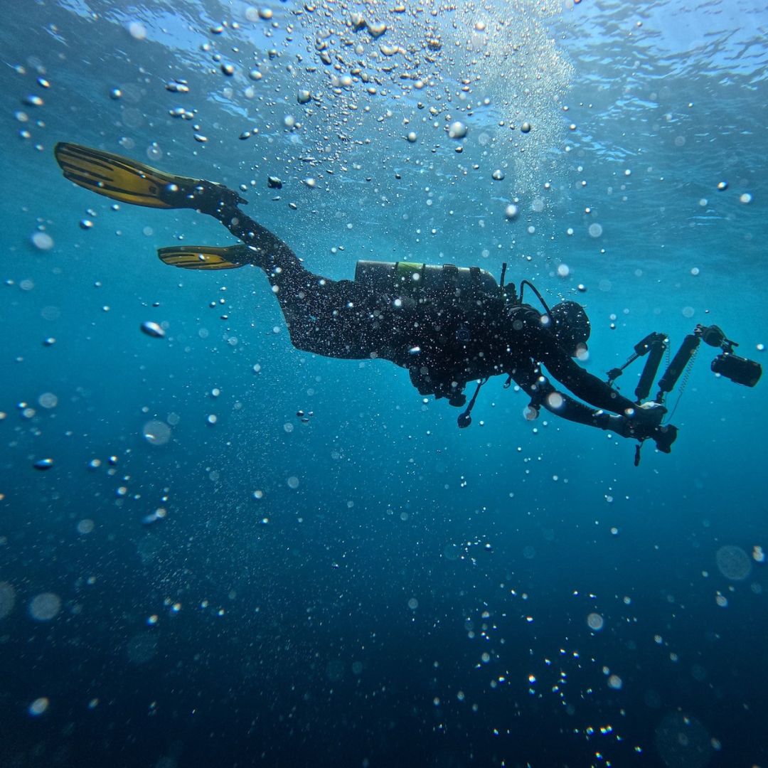 Bali Best Seller Scuba Diving Trip