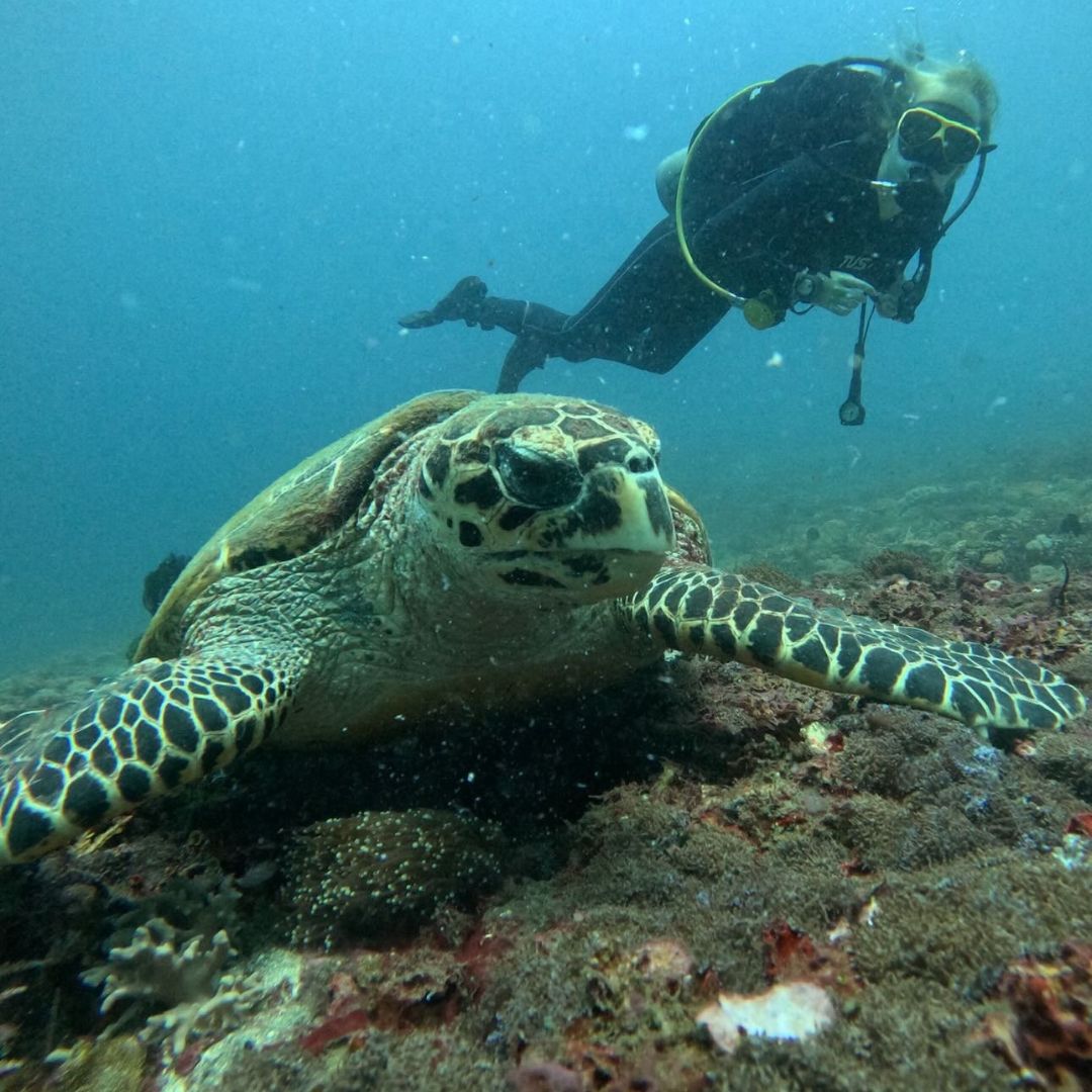 Bali Best Seller Scuba Diving Trip