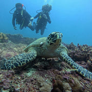 PADI Enriched Air Nitrox Diver Course in Padang Bai