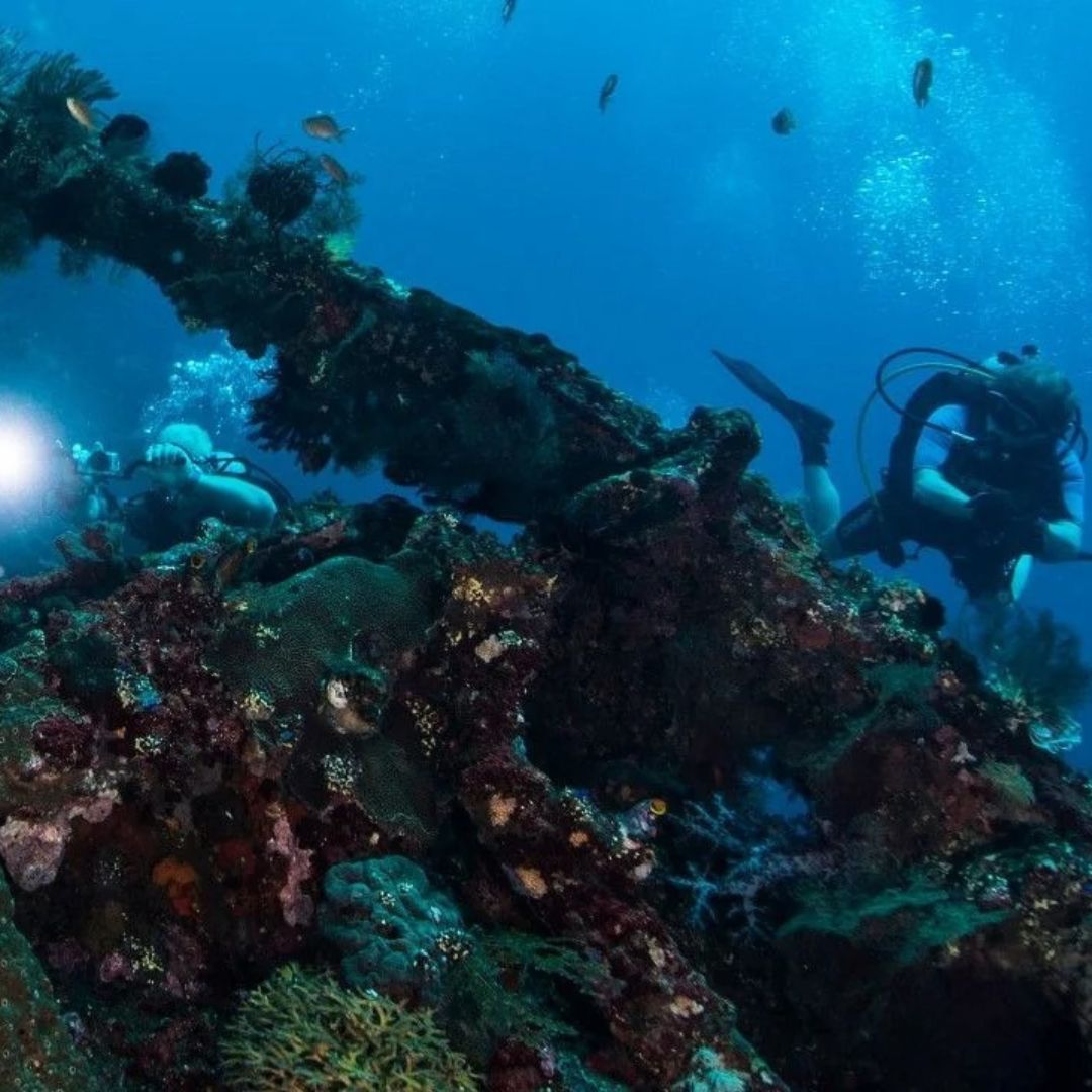 Bali Wreck Scuba Diving Trip OK Divers Resort & Spa