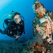 Bali Macro Scuba Diving Trip OK Divers Resort & Spa