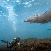 Bali Best Seller Scuba Diving Trip