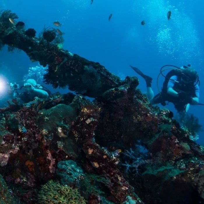 Bali Best Seller Scuba Diving Trip