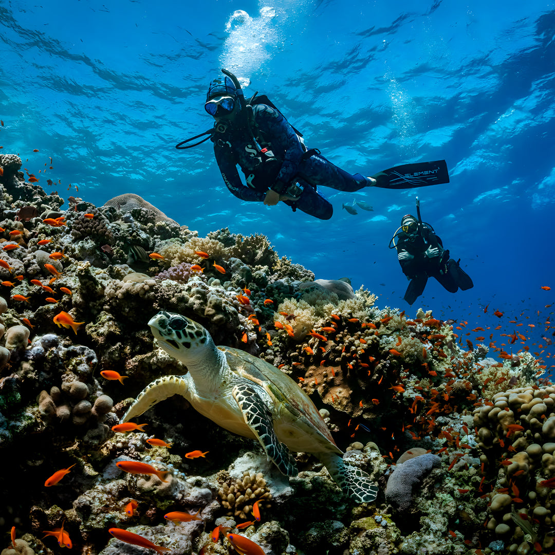 Fitzroy Island 2-Diver Discover Scuba Ocean Dive