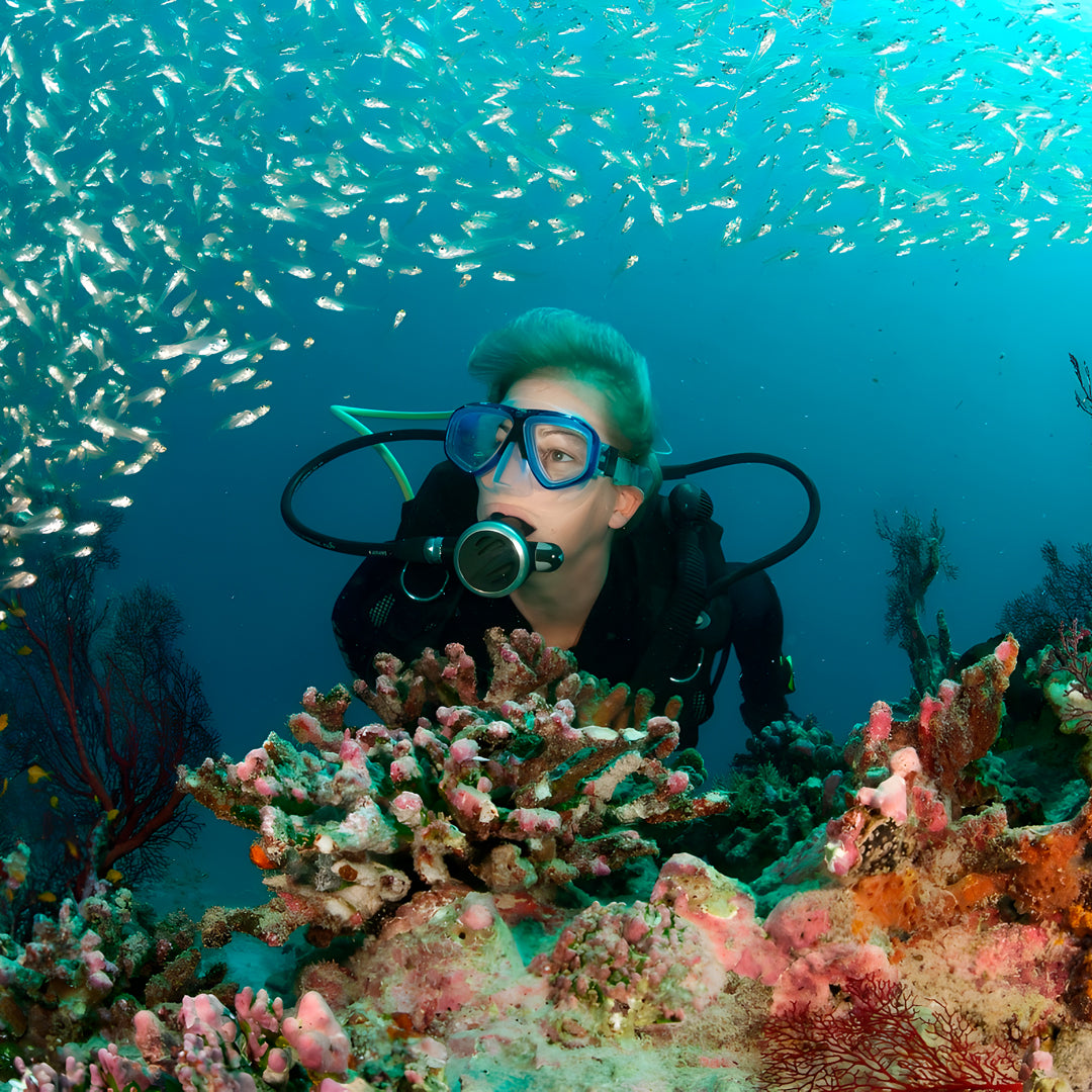 Fitzroy Island PADI Open Water Diver