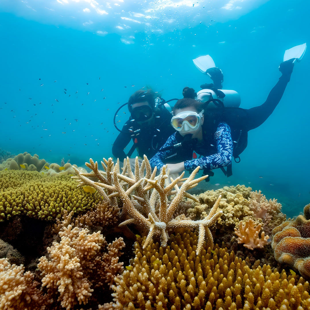 Fitzroy Island 2-Diver Discover Scuba Ocean Dive