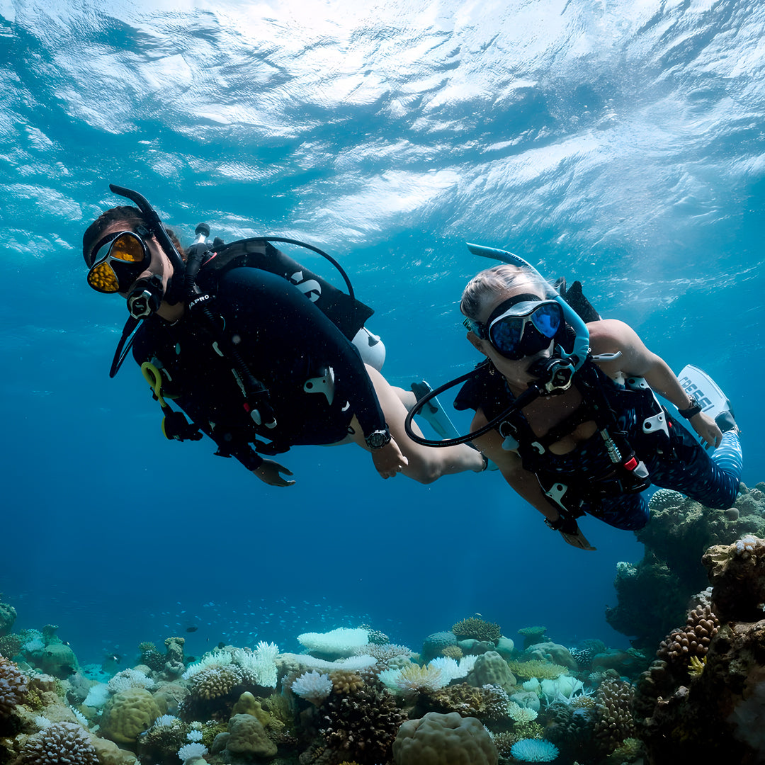Fitzroy Island PADI Open Water Diver
