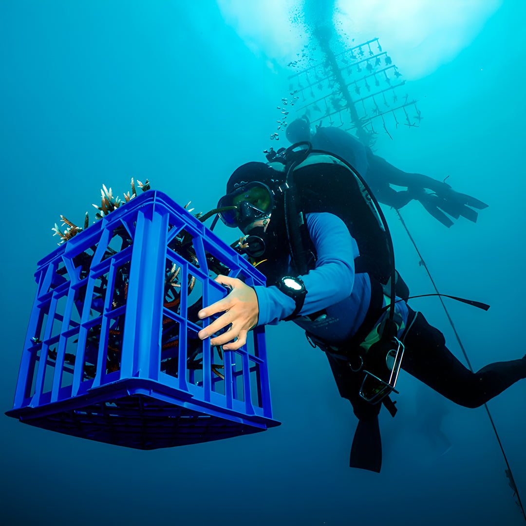 Cairns PADI Rescue Diver Course