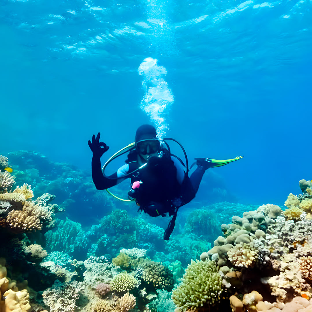 Cairns PADI Rescue Diver Course