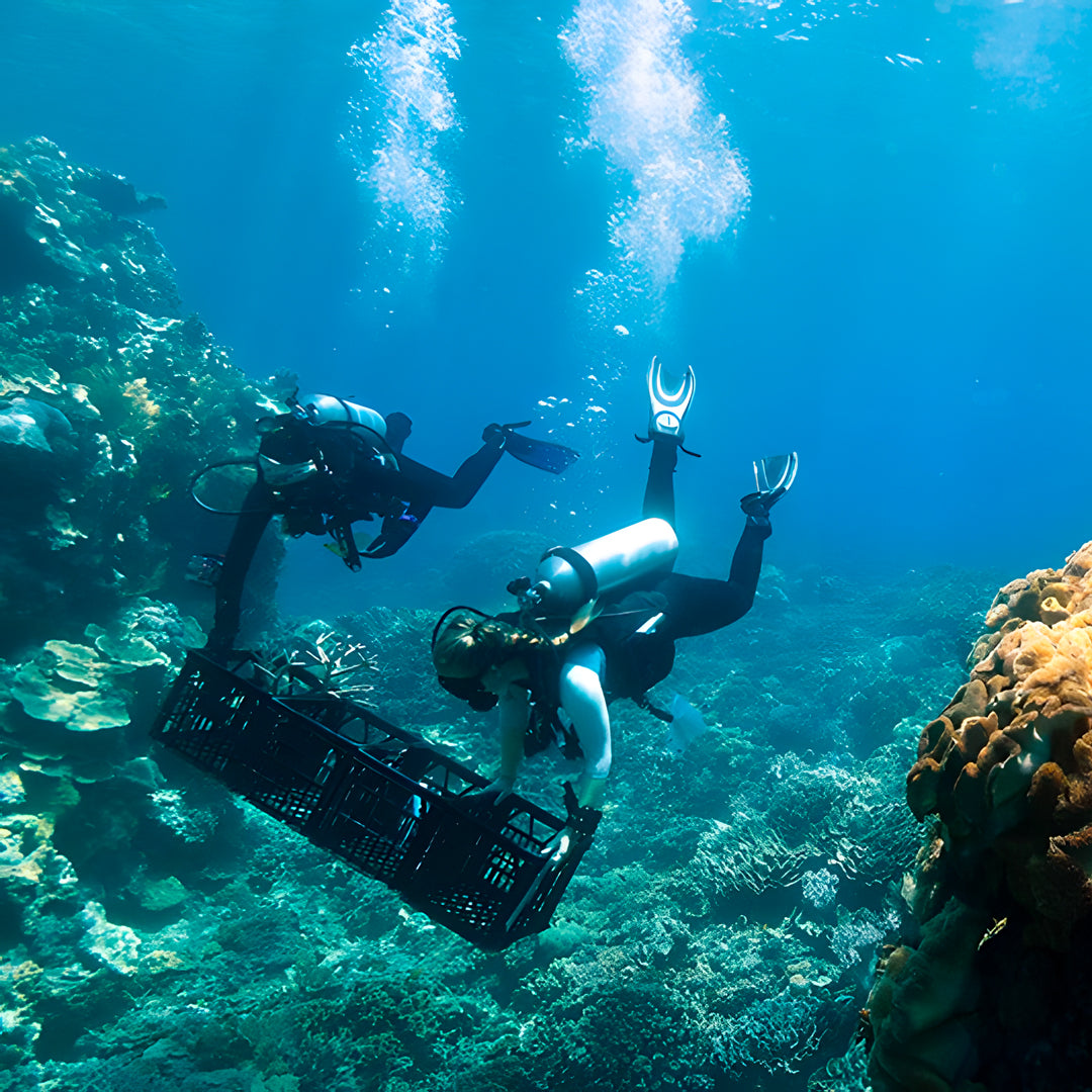 Fitzroy Island 2-Diver Discover Scuba Ocean Dive