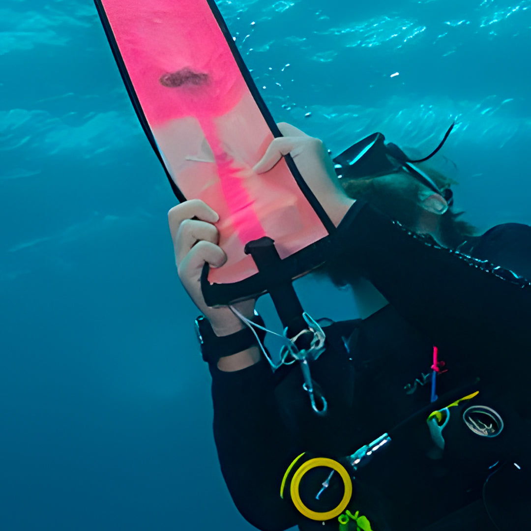 Cairns PADI Rescue Diver Course