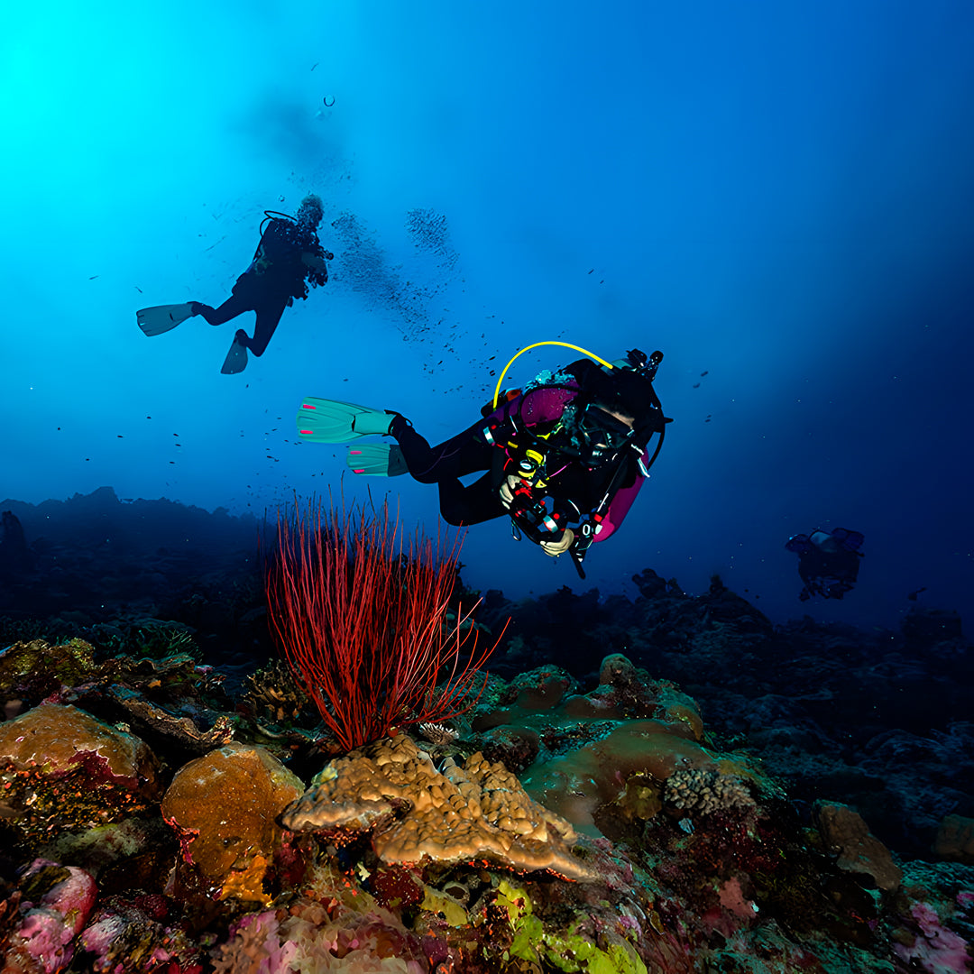 Cairns PADI Rescue Diver Course