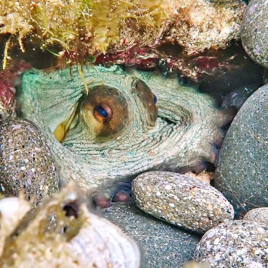 Menorca Private Dive Guiding