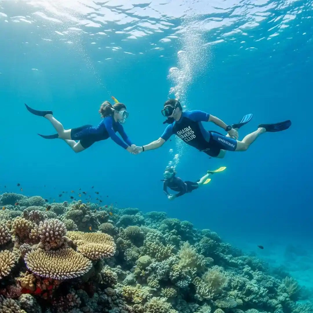 Open Water Scuba Diving Course