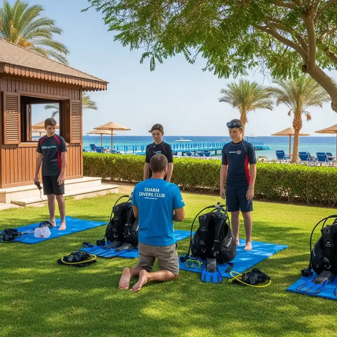 Open Water Scuba Diving Course