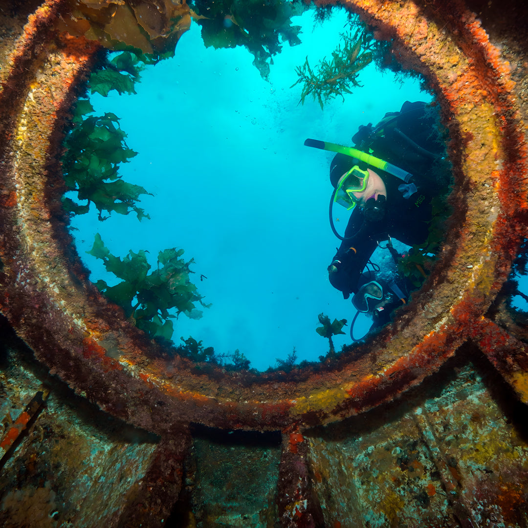 Rainbow Warrior Wreck and Reef Dive