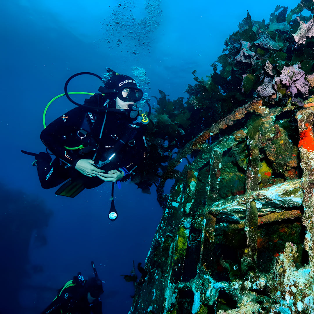 Rainbow Warrior Wreck and Reef Dive