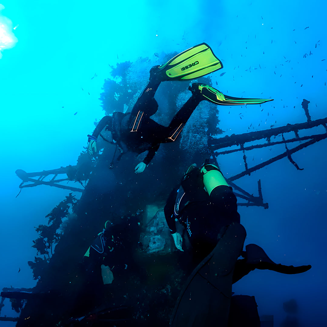 Canterbury Wreck and Reef Dive