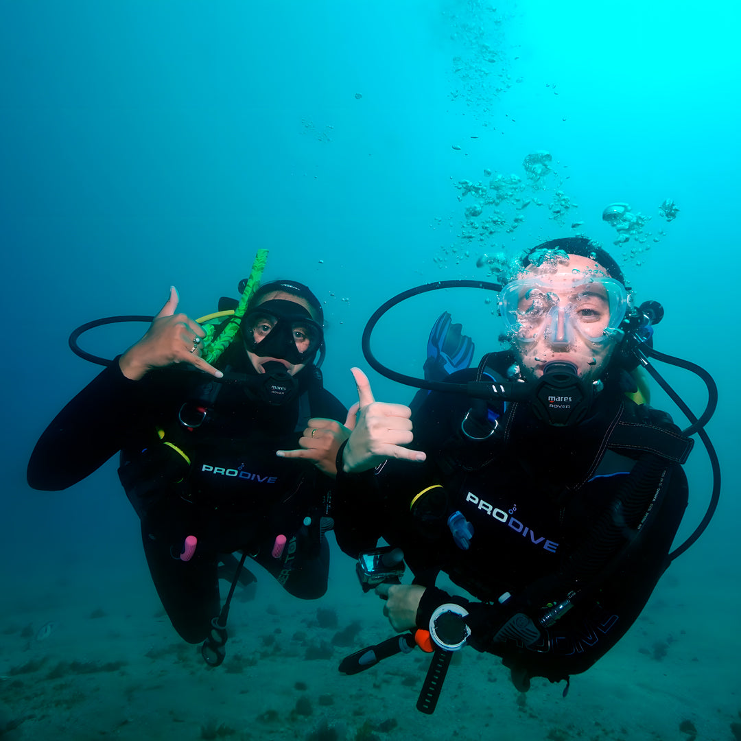 Rainbow Warrior Wreck and Reef Dive