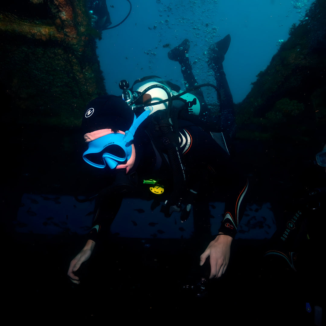 Canterbury Wreck and Reef Dive