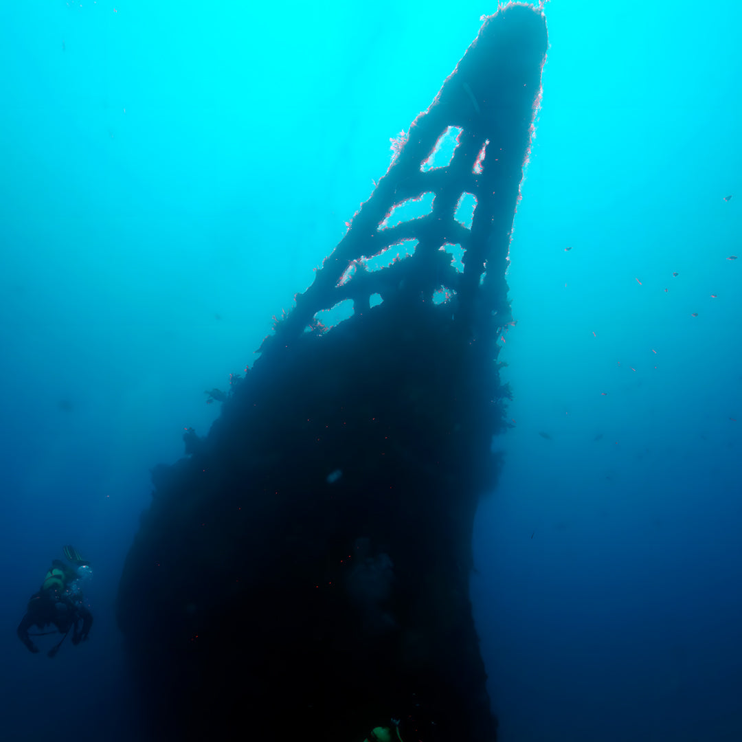 Rainbow Warrior Wreck and Reef Dive
