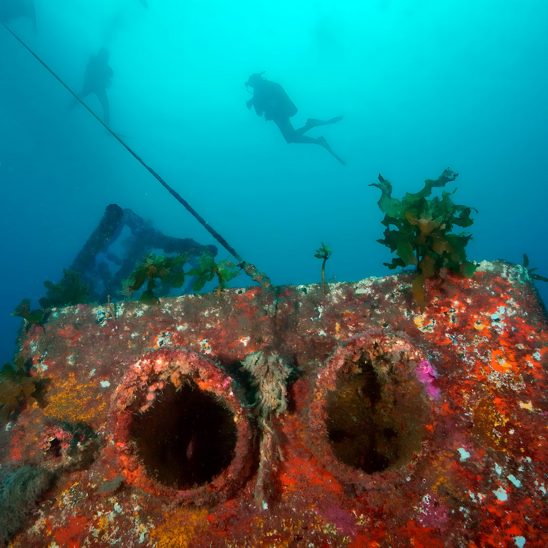 Canterbury Wreck and Reef Dive