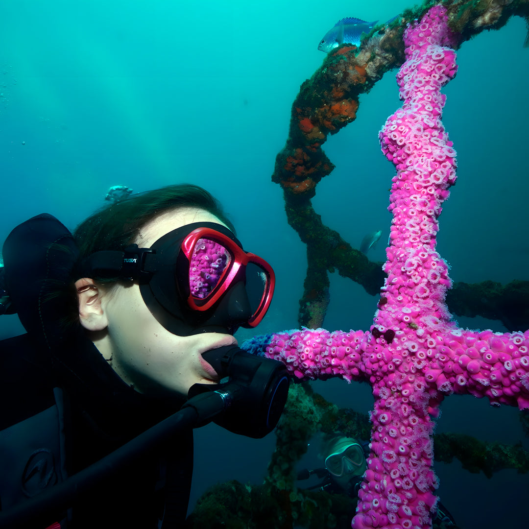 Rainbow Warrior Wreck and Reef Dive