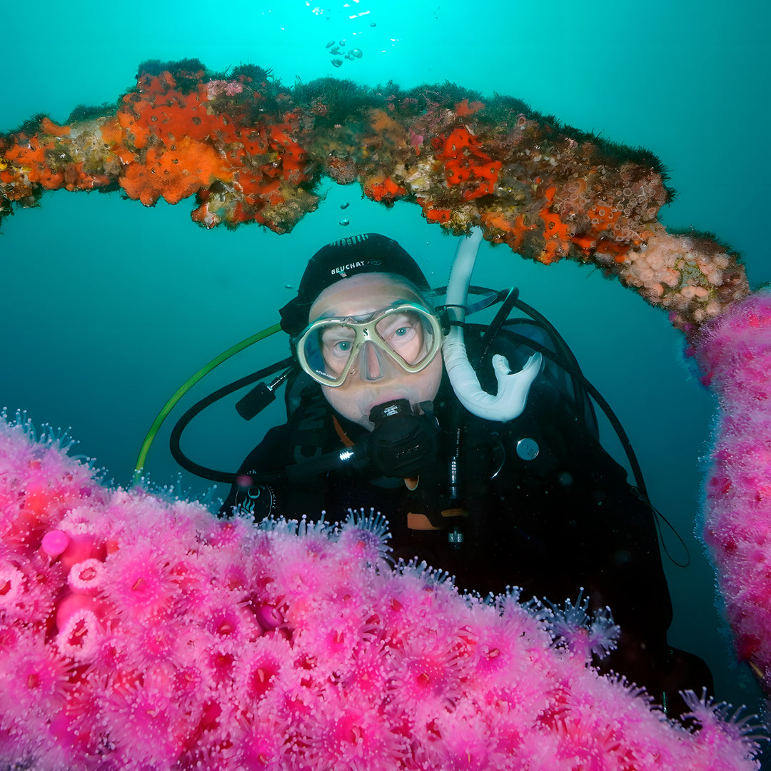 Rainbow Warrior Wreck and Reef Dive