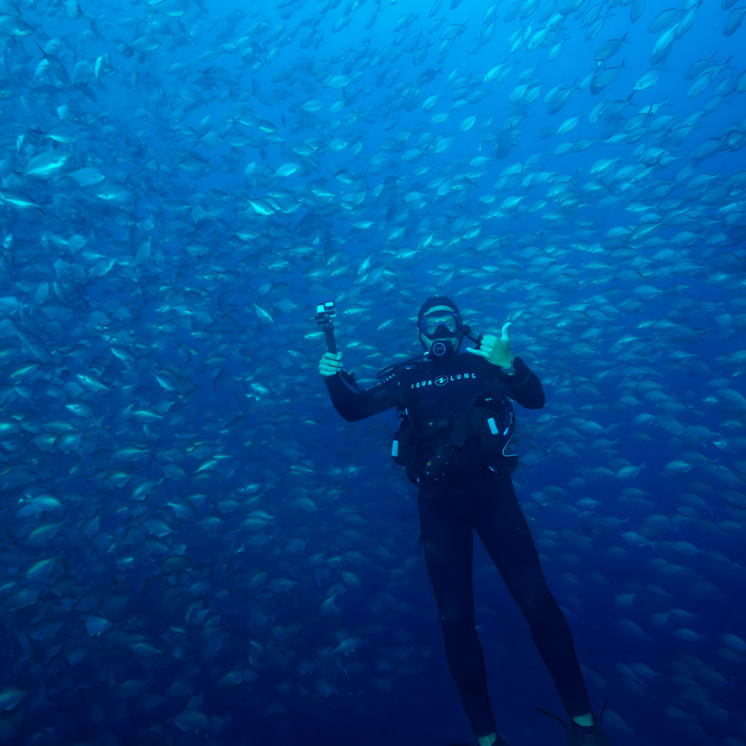 Canterbury Wreck and Reef Dive