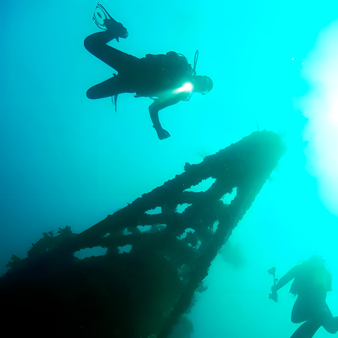 Rainbow Warrior Wreck and Reef Dive