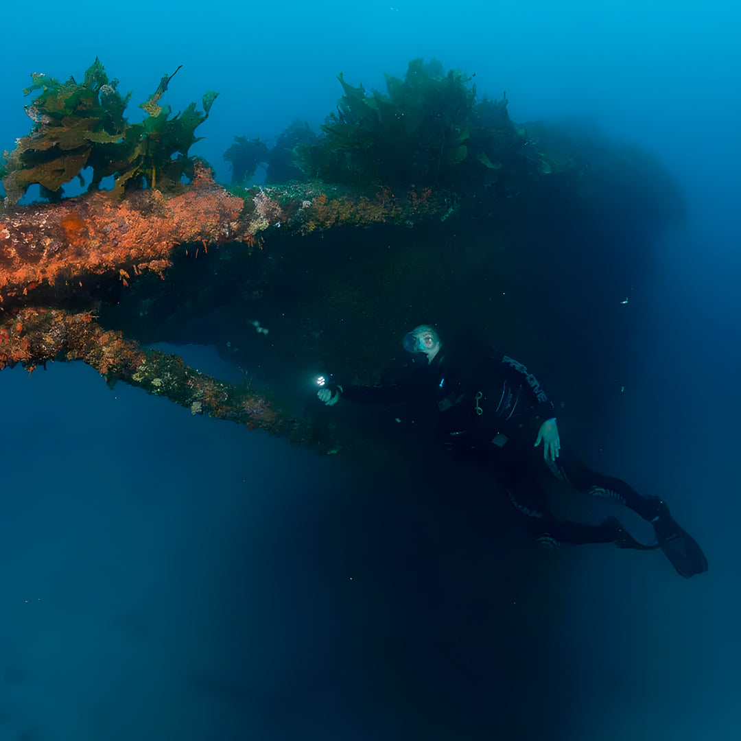 Rainbow Warrior Wreck and Reef Dive